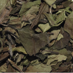 Hvid Pai Mu Tan Te
