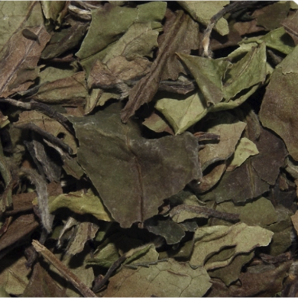 Hvid Pai Mu Tan Te