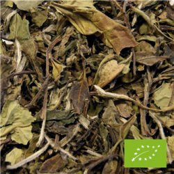 kologisk Hvid Pai Mu Tan Te